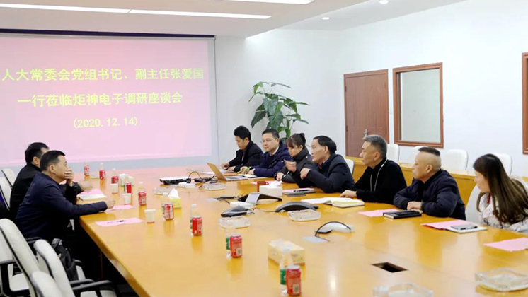 郴州市人大常委會黨組書記、副主任張愛國到炬神電子調研安全生產工作